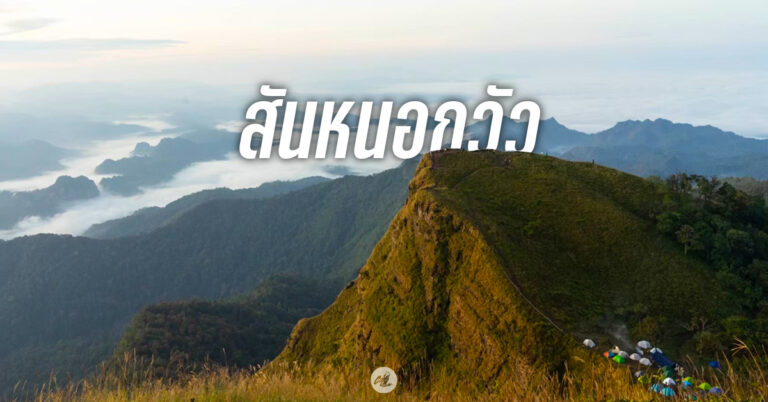 เขาสันหนอกวัว
