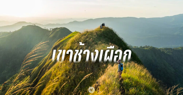 เขาช้างเผือก