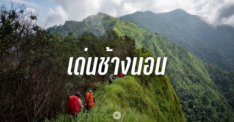 เด่นช้างนอน