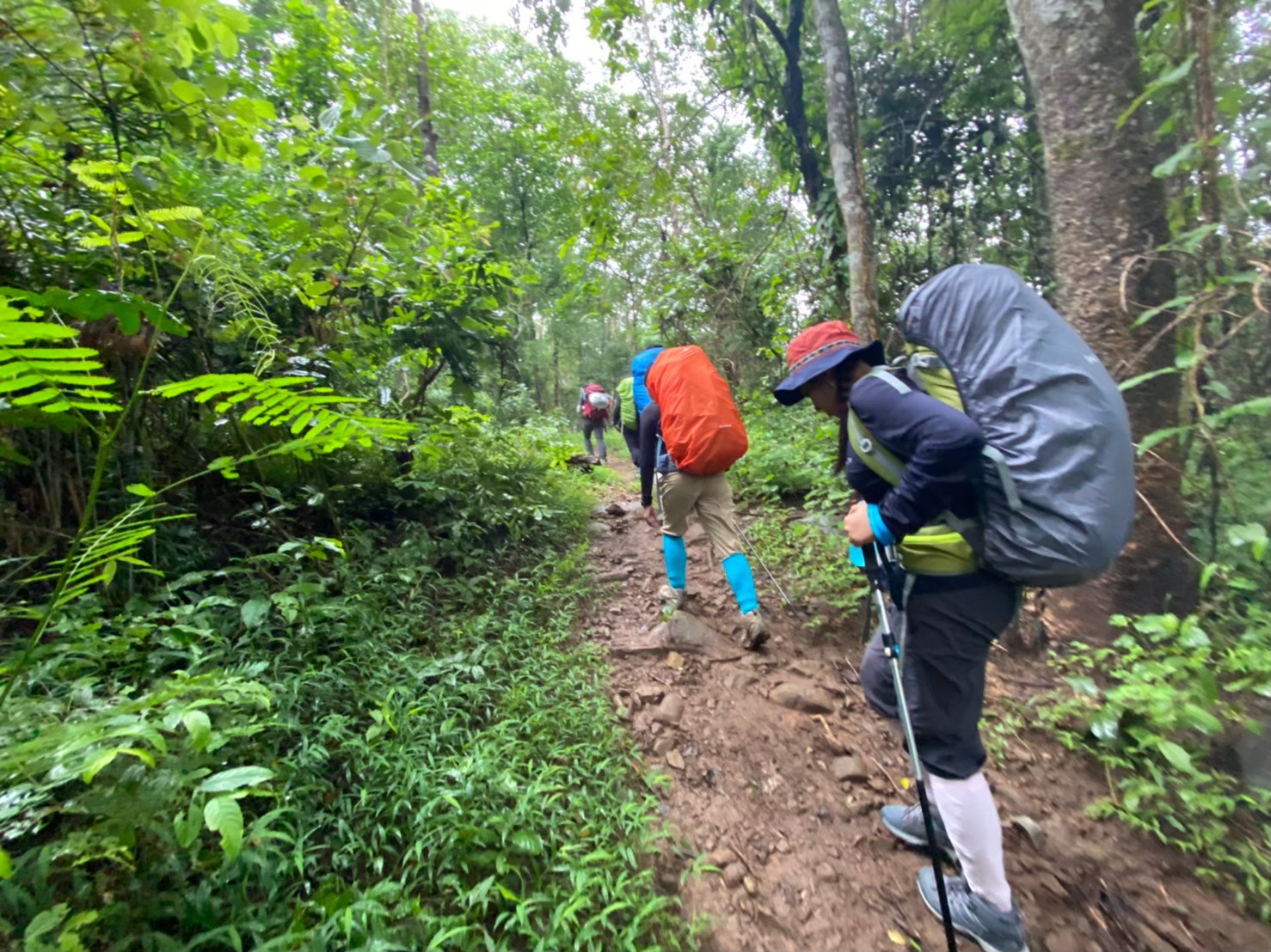 LINE_ALBUM_มือถือ มิ้นท์_250321_1