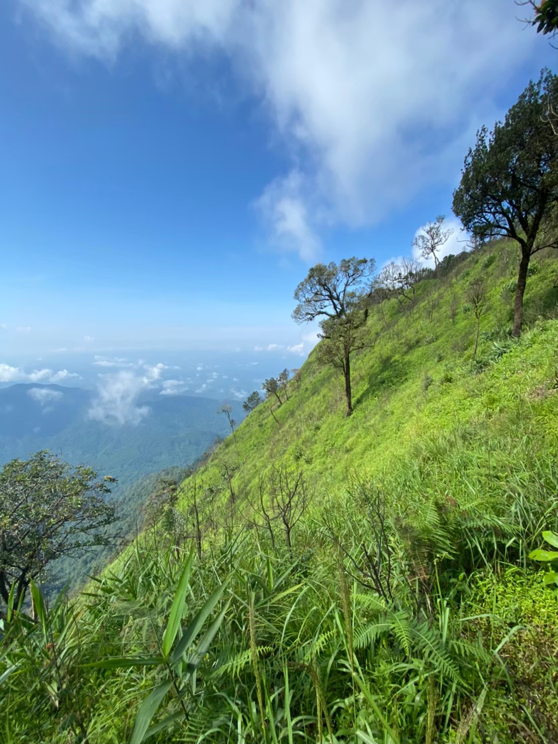 LINE_ALBUM_มือถือ มิ้นท์_250321_2