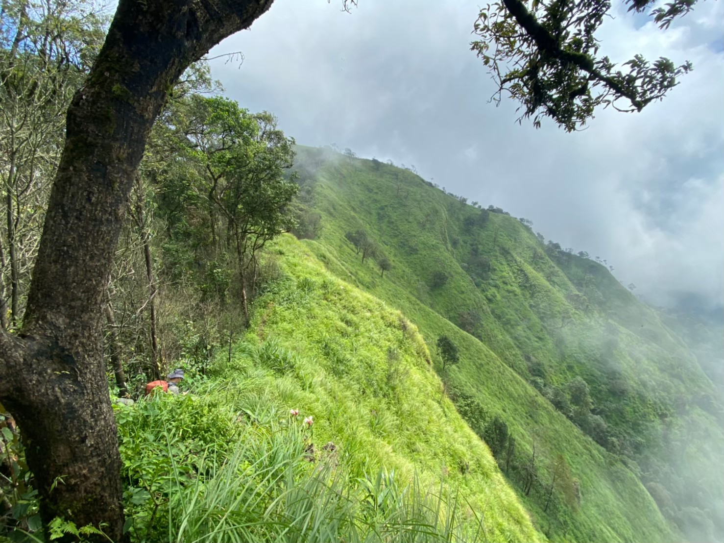 LINE_ALBUM_มือถือ มิ้นท์_250321_3