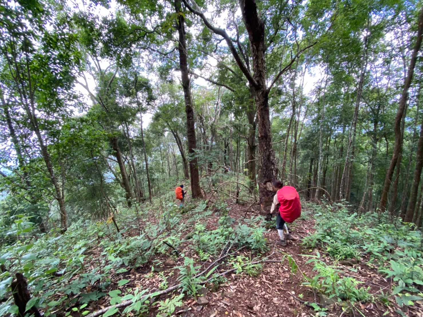 LINE_ALBUM_มือถือ มิ้นท์_250321_4