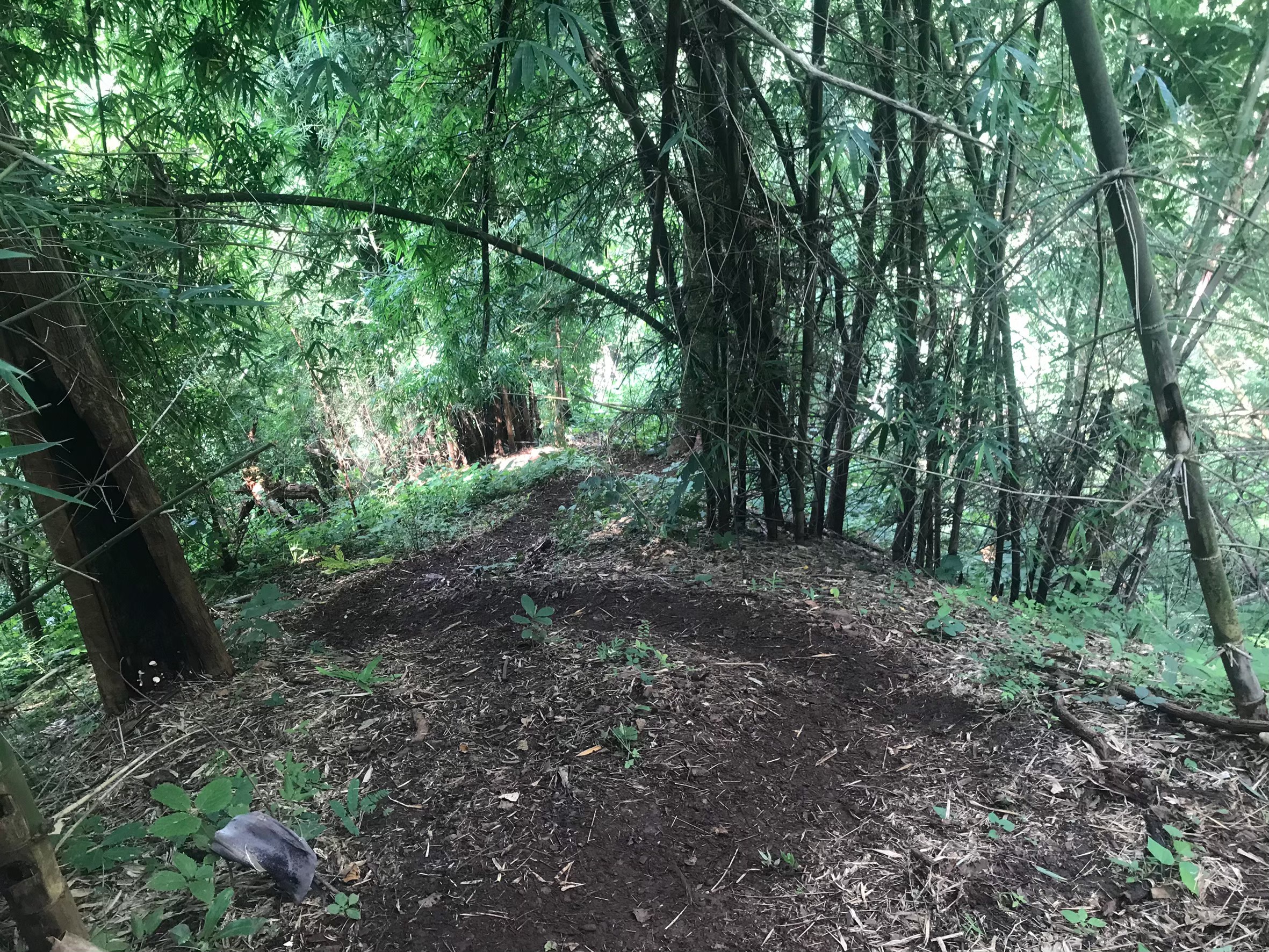 LINE_ALBUM_มือถือ มิ้นท์_250321_5