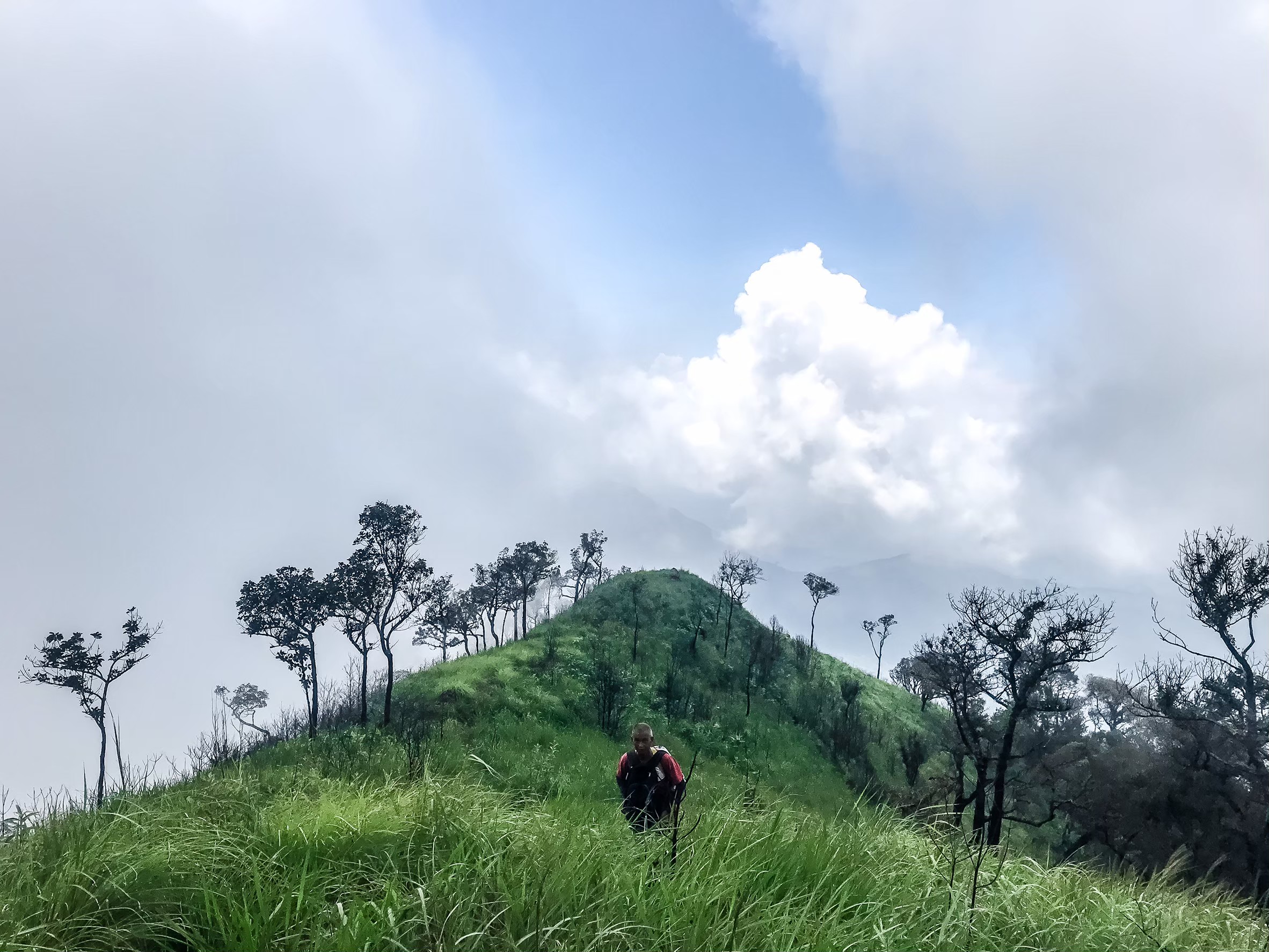 LINE_ALBUM_มือถือ มิ้นท์_250321_7