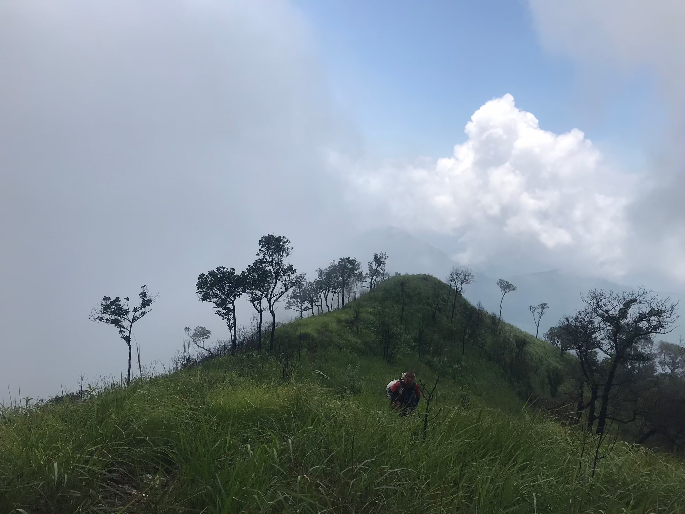 LINE_ALBUM_มือถือ มิ้นท์_250321_8