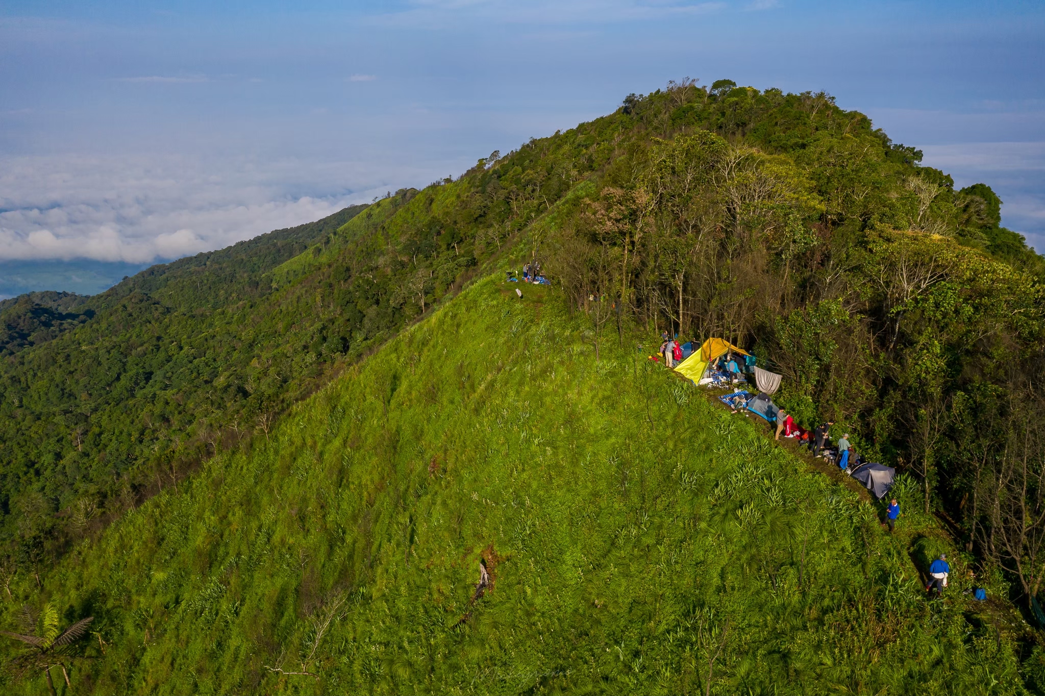 LINE_ALBUM_เด่นช้างนรก_250321_2