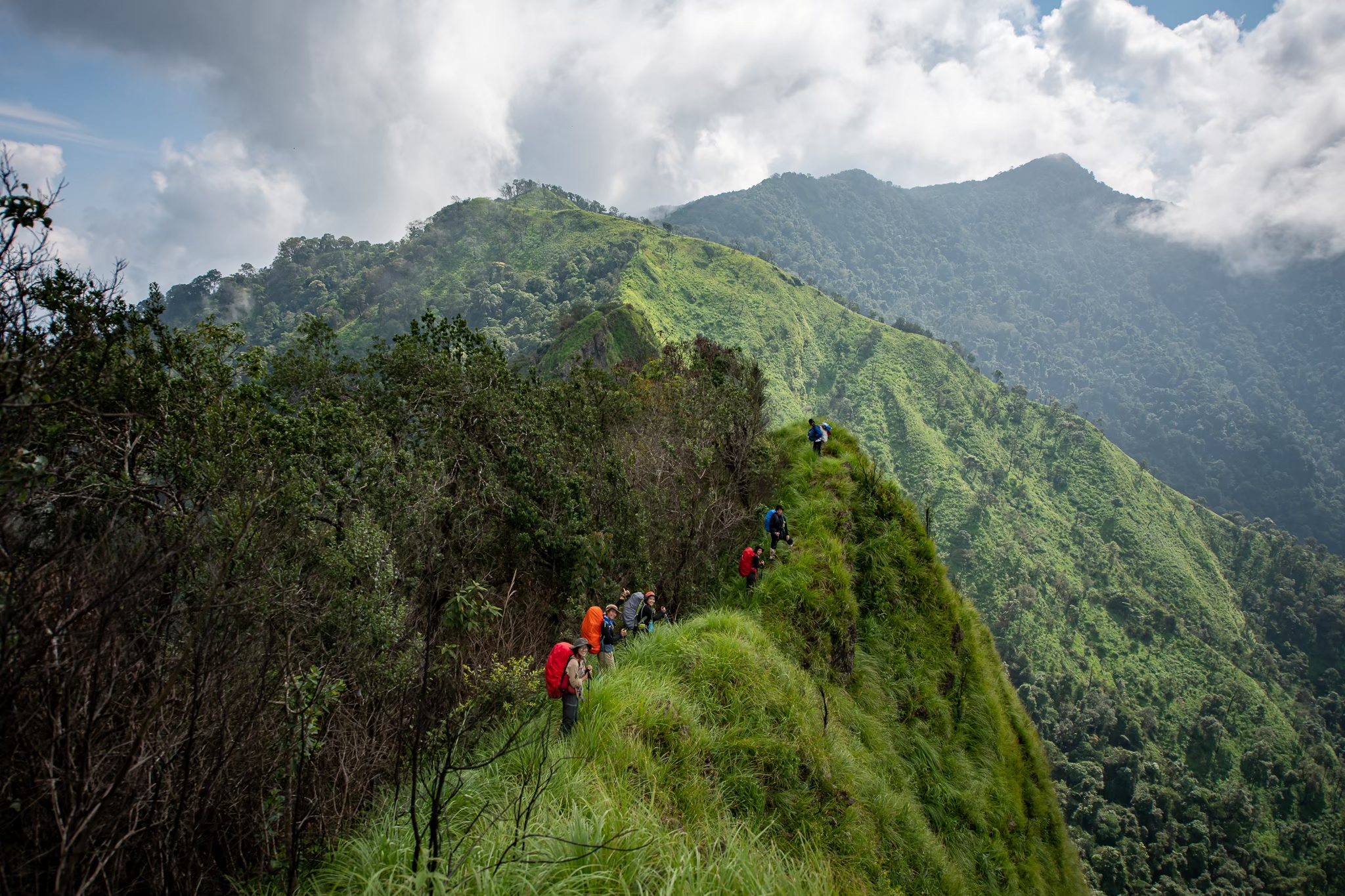 LINE_ALBUM_เด่นช้างนรก_250321_6