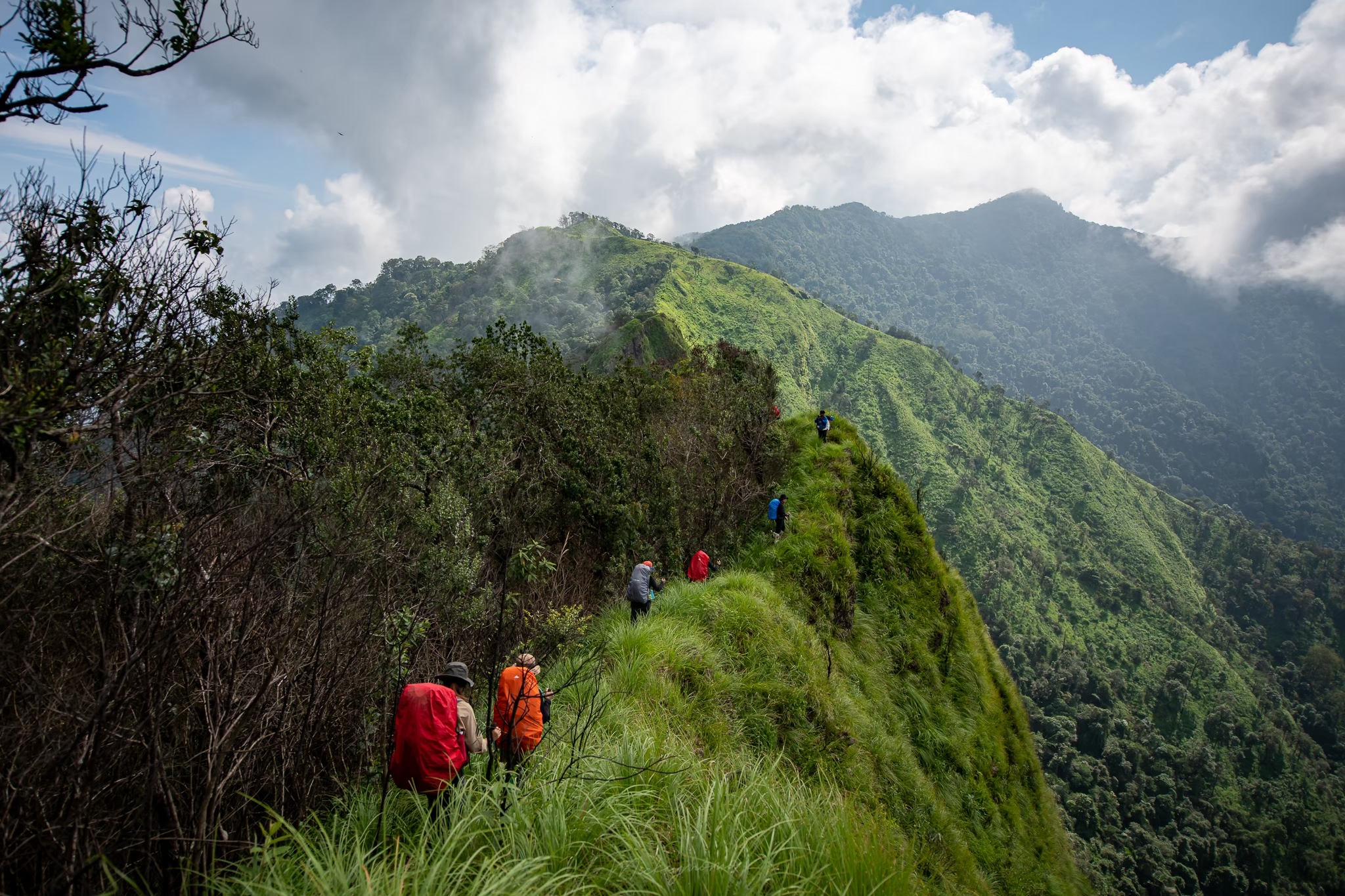 LINE_ALBUM_เด่นช้างนรก_250321_7